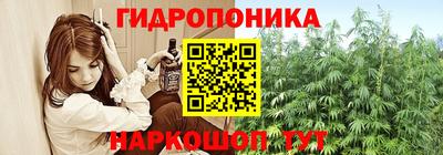 молекула духа Кулебаки