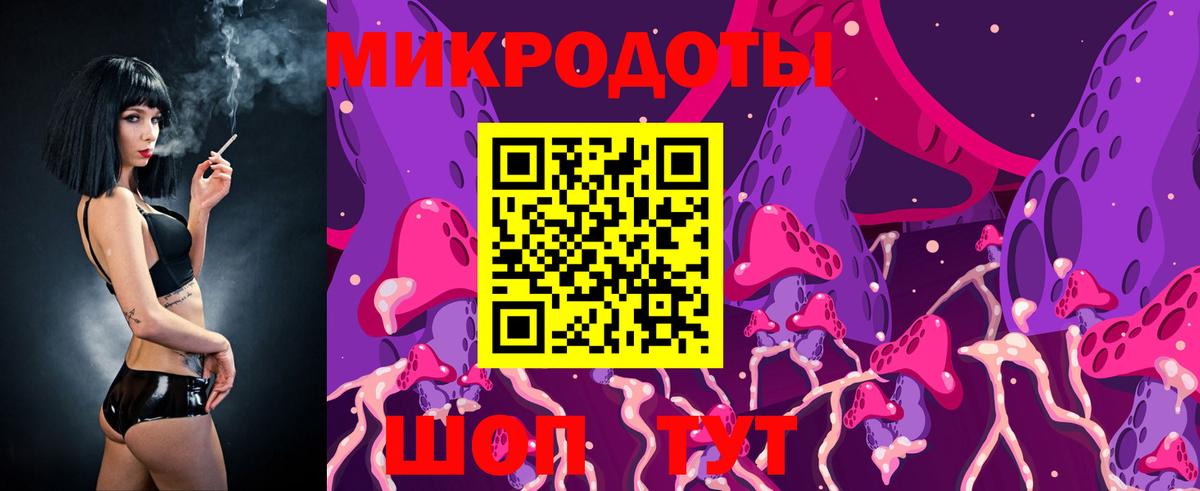 Псилоцибиновые грибы Psilocybe Выборг