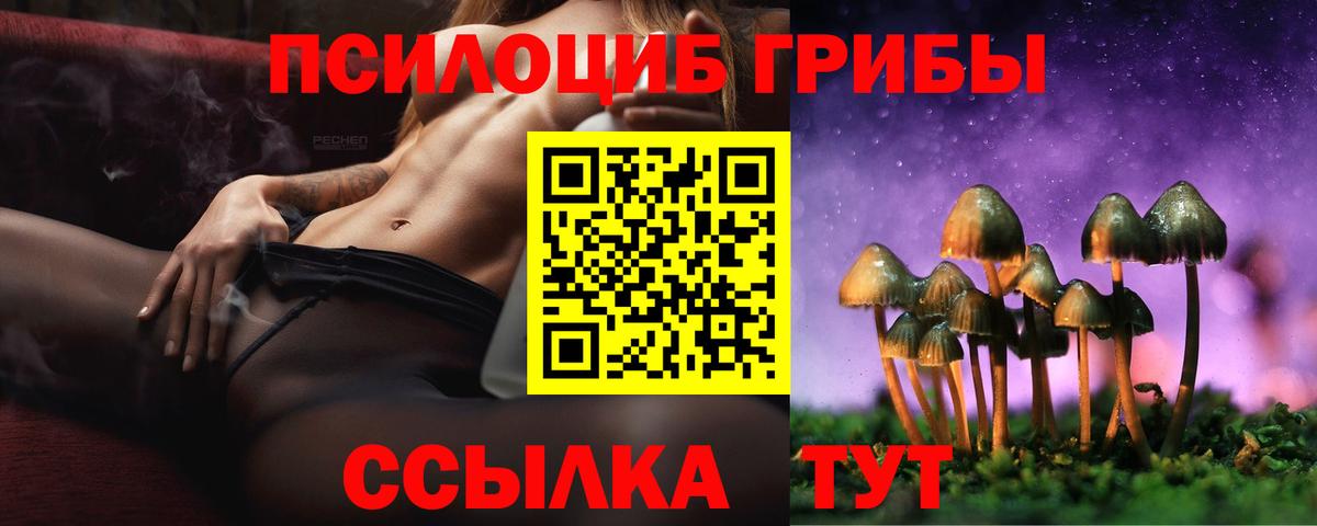 Выборг  Псилоцибиновые грибы Magic Shrooms  Вход с VPN 