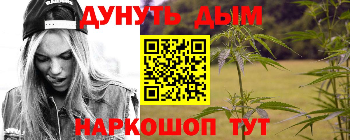 Каннабис OG Kush Выборг